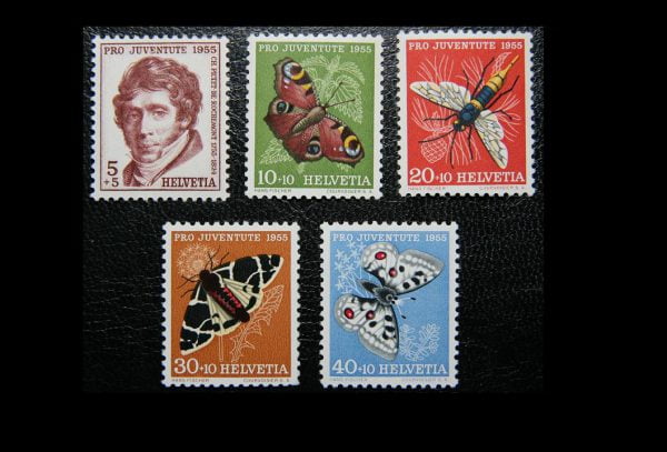 Zwi 1955 618-622